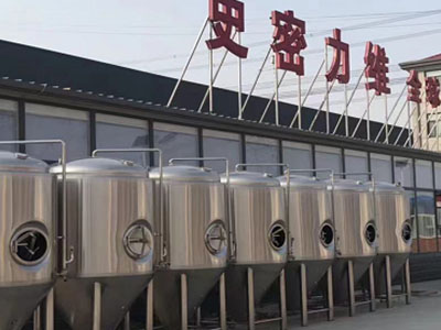 铁山精酿啤酒设备厂—市场规模与跨界新需求